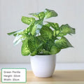 Artificial Plants Bonsai Fake Plants Home Decoration Accessories Plant Pot Office Decoration Living Room Decoration
