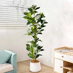 80/120Cm Tropical Artificial Ficus Large Banyan Plants Plastic Fiddle Fig Tree Branch Faux Magnolia Tree for Home Garden Decor