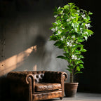 82-144Cm Large Artificial Ficus Tree Fake Magnolia Plants Branch Tall Banyan Tree Faux Nandina Tree Rubber for Home Garden Decor