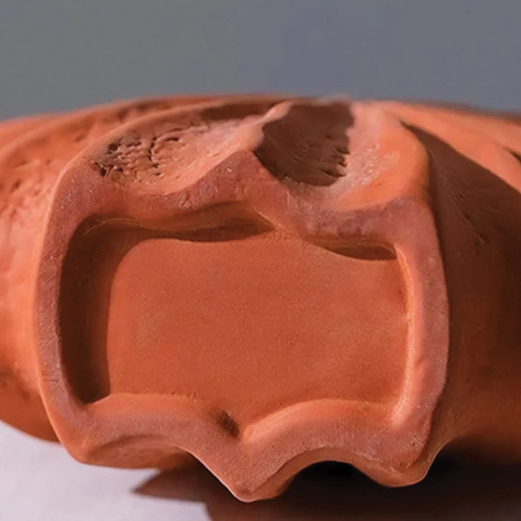 Reef Ceramic Vase